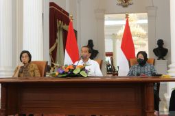 Menkeu akui subsidi masih tetap dinikmati pemilik mobil