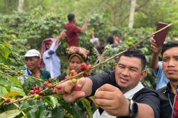 Disbudpar ajak  masyarakat Gayo berkolaborasi promosikan budaya dan pariwisata