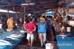 Harga komoditas laut di Manokwari masih stabil setelah BBM naik