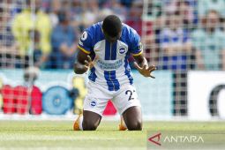 Jika ada tawaran, gelandang Brighton Moises Caicedo siap pindah ke Chelsea