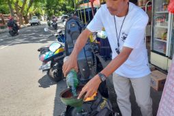 Wali Kota Ternate sampaikan pemkot terus pantau distribusi BBM subsidi agar tepat sasaran