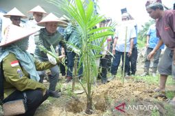 Program PSR 131 hektare di Sambas mulai direalisasikan