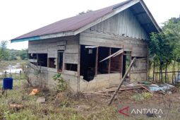 Kawanan gajah liar rusak rumah dan kebun warga di pedalaman Nagan Raya