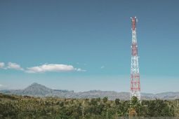 Kominfo Biak Numfor berencana tambah 13 BTS untuk perkuat layanan