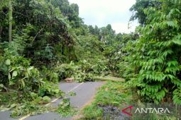 Kapolda ajak warga Papua Barat jaga kedamaian