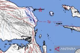 Gempa magnitudo 4,3 terjadi di Timur Manokwari