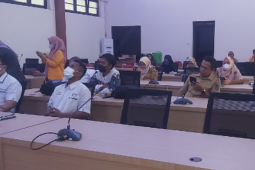 Harga TBS sawit Sulsel capai Rp1.960 per kilogram