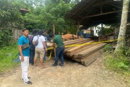 Polisi tangkap tangan pembalak hutan di Muarojambi, ratusan batang kayu diamankan