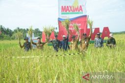 Satono ajak masyarakat budi daya tanaman pangan dan hortikultura