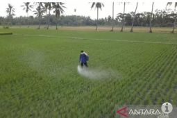 Pengamat: Permentan 10 Tahun 2022 tak ada indikasi hapus subsidi pupuk