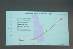 Yayasan HAkA temukan deforestasi di SM Rawa Singkil