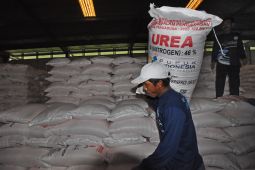 Abdya dapat tambahan 450 ton alokasi pupuk bersubsidi