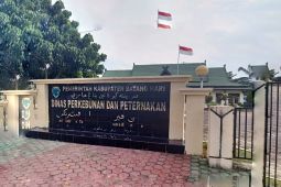 Pemkab Batanghari akan bangun rumah kebun untuk para pekerja kebun