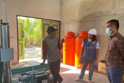 Program "Electrifying Agriculture" tingkatkan produksi petani Waimital, begini penjelasannya