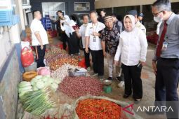 TPID Kota Pangkalpinang Inspeksi Distributor Beras, Telur dan Hortikultura