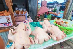 Harga bahan pokok di Kalsel diprediksi meningkat karena BBM naik