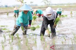 Gubernur Khofifah: Kesejahteraan petani di Jawa Timur meningkat