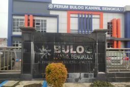 Permintaan daging beku di Bengkulu naik