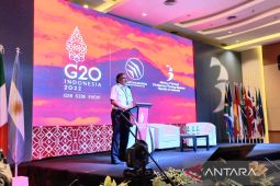 Pj Gubernur Babel bahas kerjasama industri penerbangan di DWG G20