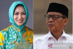 Airin Vs WH di Pilgub Banten, Ini Kata Pengamat