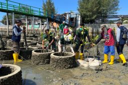 Gerakan PLN Peduli tanam ribuan mangrove untuk normalisasi pesisir di Lamongan