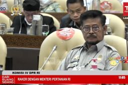 Kementan siapkan Rp2,3 triliun untuk Food Estate-sentra pangan di 2023