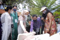 LPDB-KUMKM salurkan pinjaman Rp19,85 M untuk bisnis kriya Bali