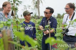 Petani sayur akui produksi tumbuh 22 persen berkat Sipindo