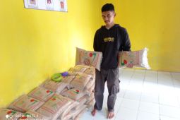 Tingkatkan ekonomi petani, Pemkab Lebak kembangkan benih padi produktivitas tinggi