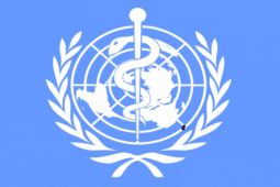 WHO: Virus hepatitis sebabkan 3.500 orang meninggal setiap hari