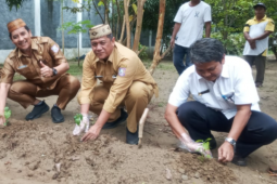 Dinas Pangan siapkan 130 ribu bibit cabe untuk Gerakan Barisa