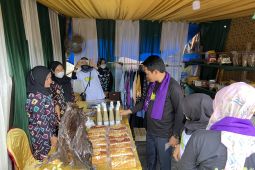 Bupati apresiasi Kecamatan Juai atas gelaran expo UMKM