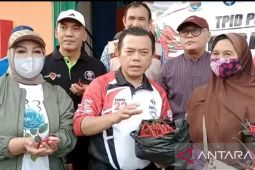 Pemprov Jambi gelar operasi pasar kebutuhan pokok di Kota Jambi dan Bungo