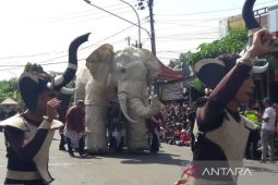Ribuan warga Borobudur ikuti kirab budaya