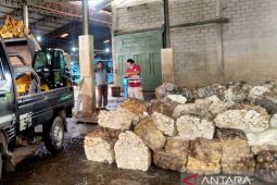 Harga getah karet di Bengkulu turun jadi Rp5 ribu per Kg