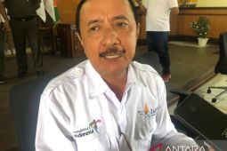 Pemprov siapkan jalur khusus kendaraan listrik di lokasi wisata Bali