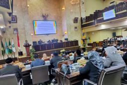 Pemprov Kalsel disarankan lebih optimal gali PAD