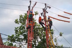 Penjualan energi listrik semakin meningkat