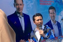 Emil Dardak dinilai mampu dongkrak elektabilitas Partai Demokrat