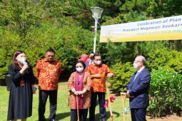 Megawati dan Olly Dondokambey tanam pohon di Jeju Korsel