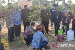 Wujudkan Kampus Hijau, GNRM Laksanakan Gerakan Untirta Menanam