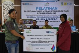 PT PLN latih petani di Aceh Tengah budidaya jahe merah