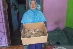 Usaha kemplang bakar Ak Ti dipasarkan hingga ke luar Bangka