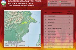Sebanyak 79 titik panas terdeteksi di Kaltim