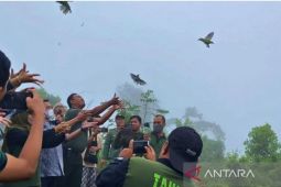 BKSDA lepasliarkan 486 burung ke Taman Hutan Raya Sultan Adam