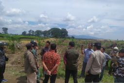 PTPN IV tetap tanam sawit, sikap diam Bupati Simalungun disesalkan