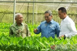 Wamen pertanian RI kunker ke Kabupaten Asahan