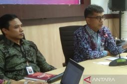 OJK menduga pelaku penggelapan dana Bank Sultra lebih dari satu orang