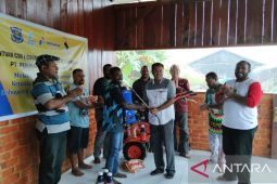 PT PGN gandeng PMI kembangkan jagung di Kabupaten Sorong