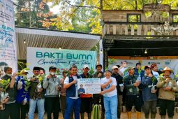 Jasa Raharja partisipasi penanaman 20.000 pohon di seluruh Indonesia